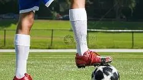 东契奇赛场磨砺，独行侠高层哈里森悄然观摩