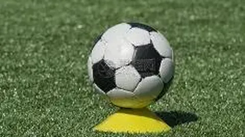 波波维奇突发疾病休假，马刺名帅29年教坛生涯暂歇